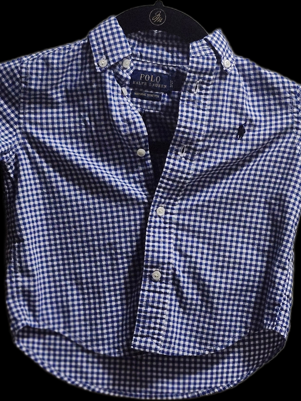 Ralph Lauren Navy and White Gingham Button-Down Shirt